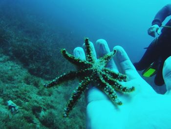 Person hand in sea