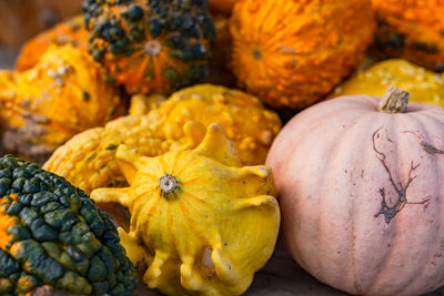 Full frame shot of pumpkins