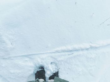 Low section of person on snow covered snowcapped mountain