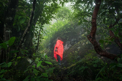 Low angle view of woman standing in forest