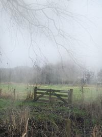 Scenic view of field against sky during foggy weather