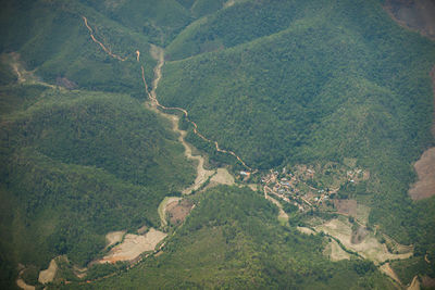 High angle view of vineyard