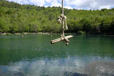 Rope for jumping into the lake