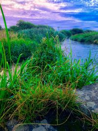 Scenic view of lake against cloudy sky