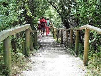 People walking on footbridge amidst trees