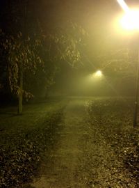 Road at night