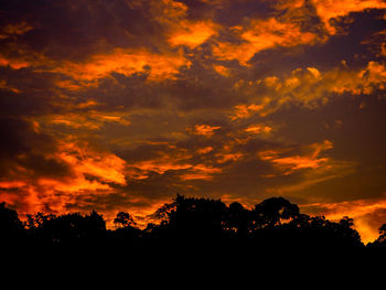 Low angle view of silhouette trees against dramatic sky