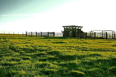 Grassy field against cloudy sky