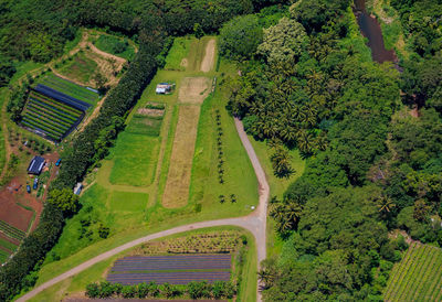 High angle view of road amidst trees