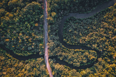 High angle view of trees