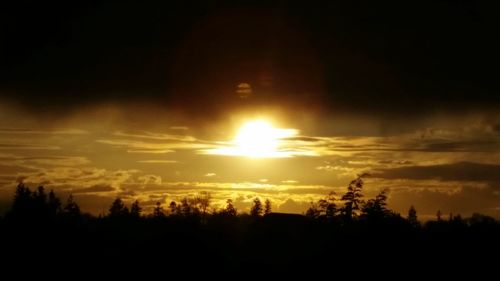 Silhouette of trees at sunset