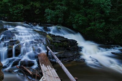 Waterfall flowing in forest