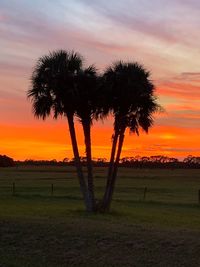 Silhouette trees on field against sky during sunset