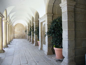 Corridor of building