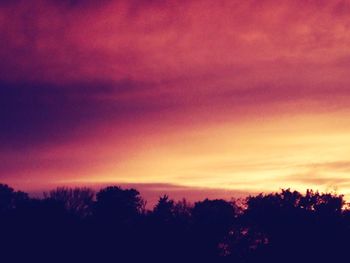 Silhouette of trees at sunset