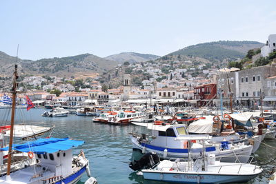 Sailboats moored in harbor by city against clear sky