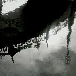Reflection of trees in water