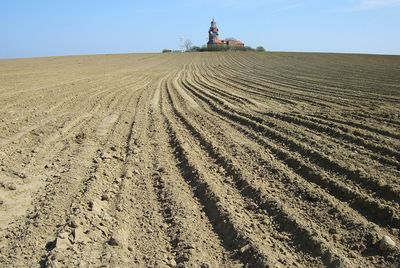 Scenic view of agricultural field against sky