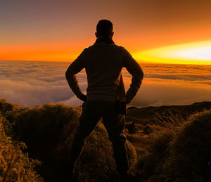 Rear view of man standing on land against sky during sunset