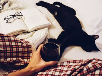 Cropped hand of woman holding wine on bed