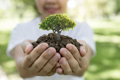 Close-up of human hands holding bonsai tree in park