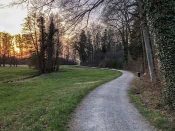 Road amidst trees on field