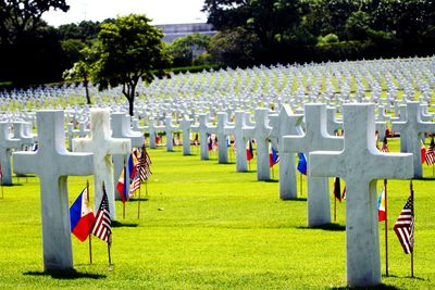 Row of chairs at cemetery