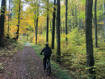 Rear view of man walking in forest