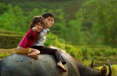 Portrait of siblings showing thumbs up while sitting on buffalo