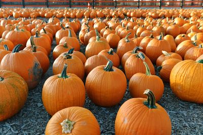 Full frame shot of pumpkins for sale