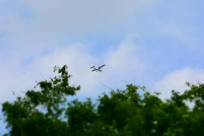 Airplane flying over trees against sky