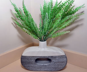 Close-up of potted plant on table