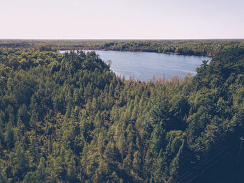 High angle view of plants by river against sky