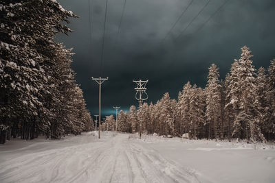 Trees on snow covered landscape