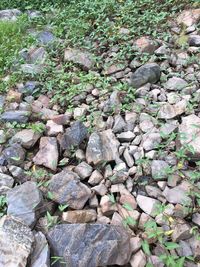 High angle view of stone on footpath