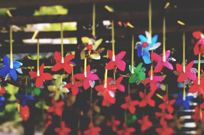 Close-up of multi colored paper windmill