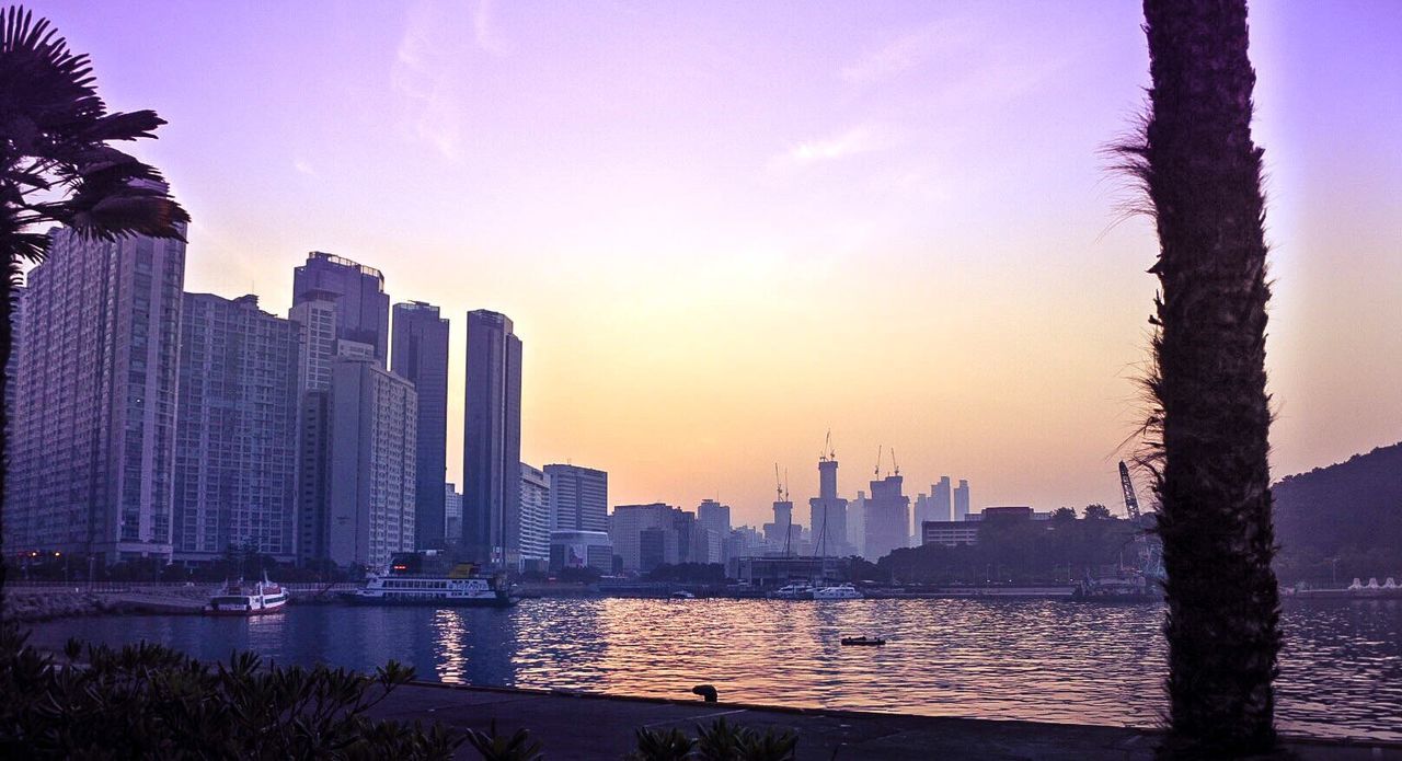 skyscraper, architecture, city, building exterior, sunset, cityscape, built structure, modern, sky, urban skyline, river, tree, water, outdoors, growth, no people, nature, day