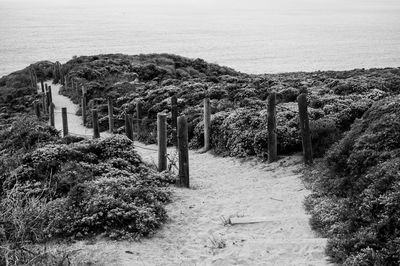 Footpath by sea