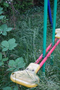 Close-up of grass