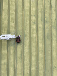 High angle view of plant