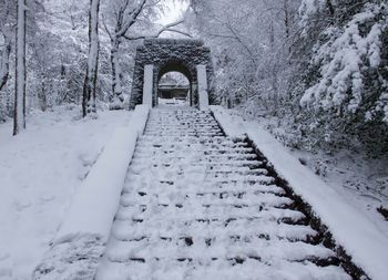 snow