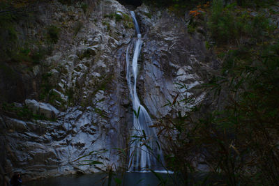 Scenic view of waterfall in forest