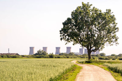 Scenic view of agricultural field against clear sky