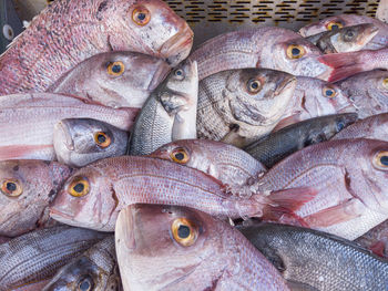 Full frame shot of fish for sale in market