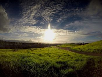 Scenic view of field against sky