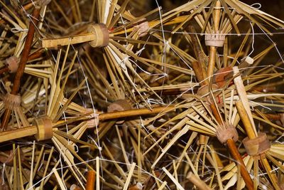 Full frame shot of dry plants