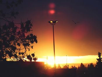 Low angle view of silhouette trees against orange sky