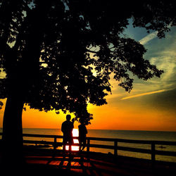 Silhouette of trees at sunset