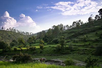 A beautiful landscape of fields in the mountains of almora. 