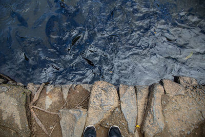 Low section of man standing on rock